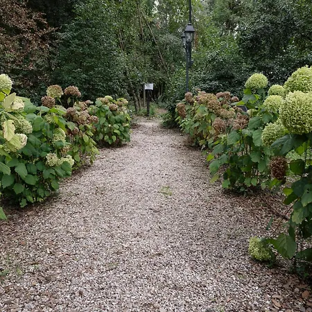 Posta Donini 1579 - Esperienze