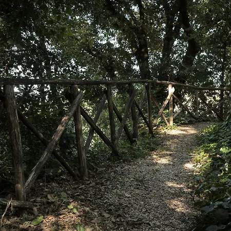 Posta Donini 1579 - Esperienze San Martino In Campo