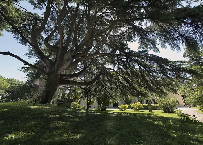 Posta Donini 1579 - Esperienze San Martino In Campo