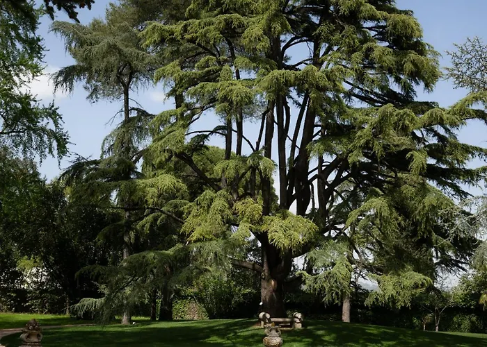 Hotel Posta Donini 1579 - Esperienze San Martino In Campo